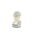 Urban Trends Collection Urban Trends Collection 32402 Ceramic Phrenology Bust With Printed Labels; Small - White 32402